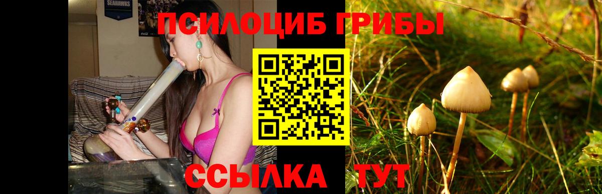 Псилоцибиновые грибы GOLDEN TEACHER  Вход с VPN  Десногорск 