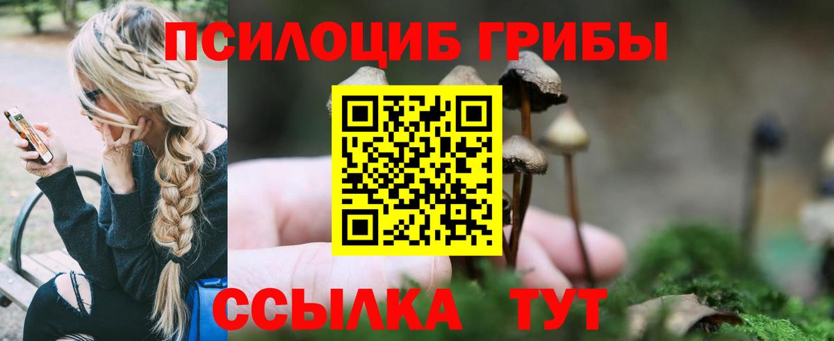 Псилоцибиновые грибы MAGIC MUSHROOMS Десногорск
